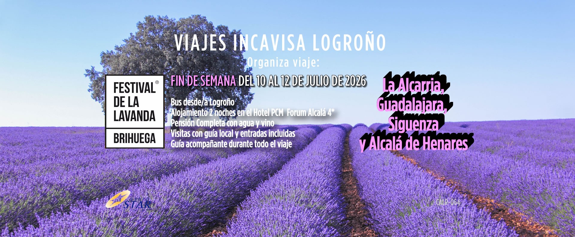 festival lavanda julio2026